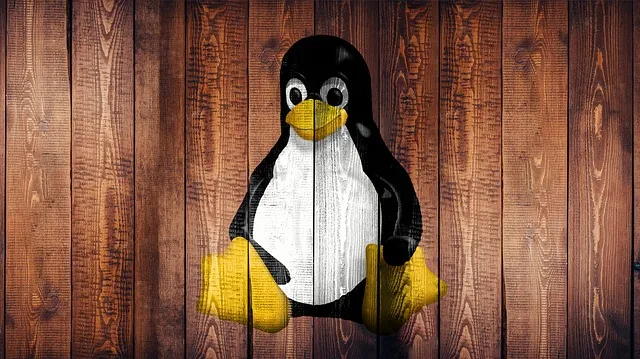Wady i zalety linuxa
